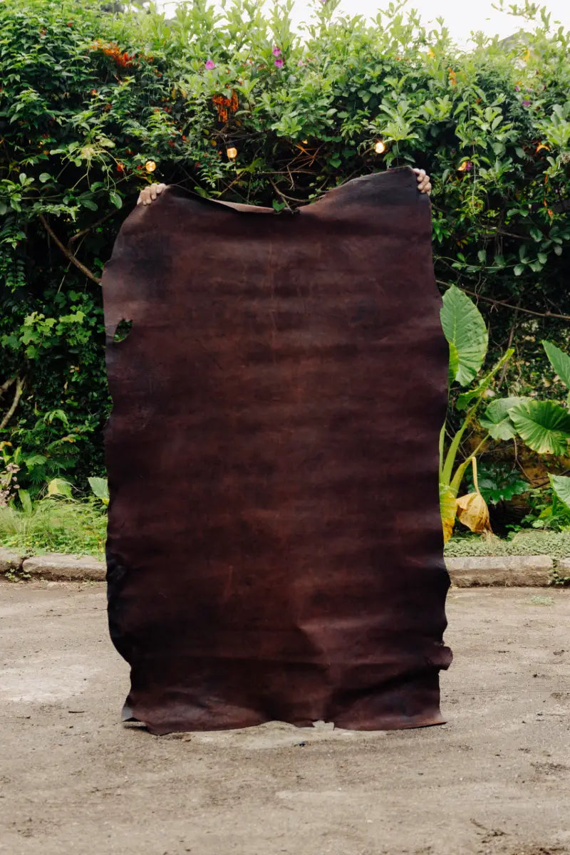 Brown leather hide held by a person with green foliage in the background
